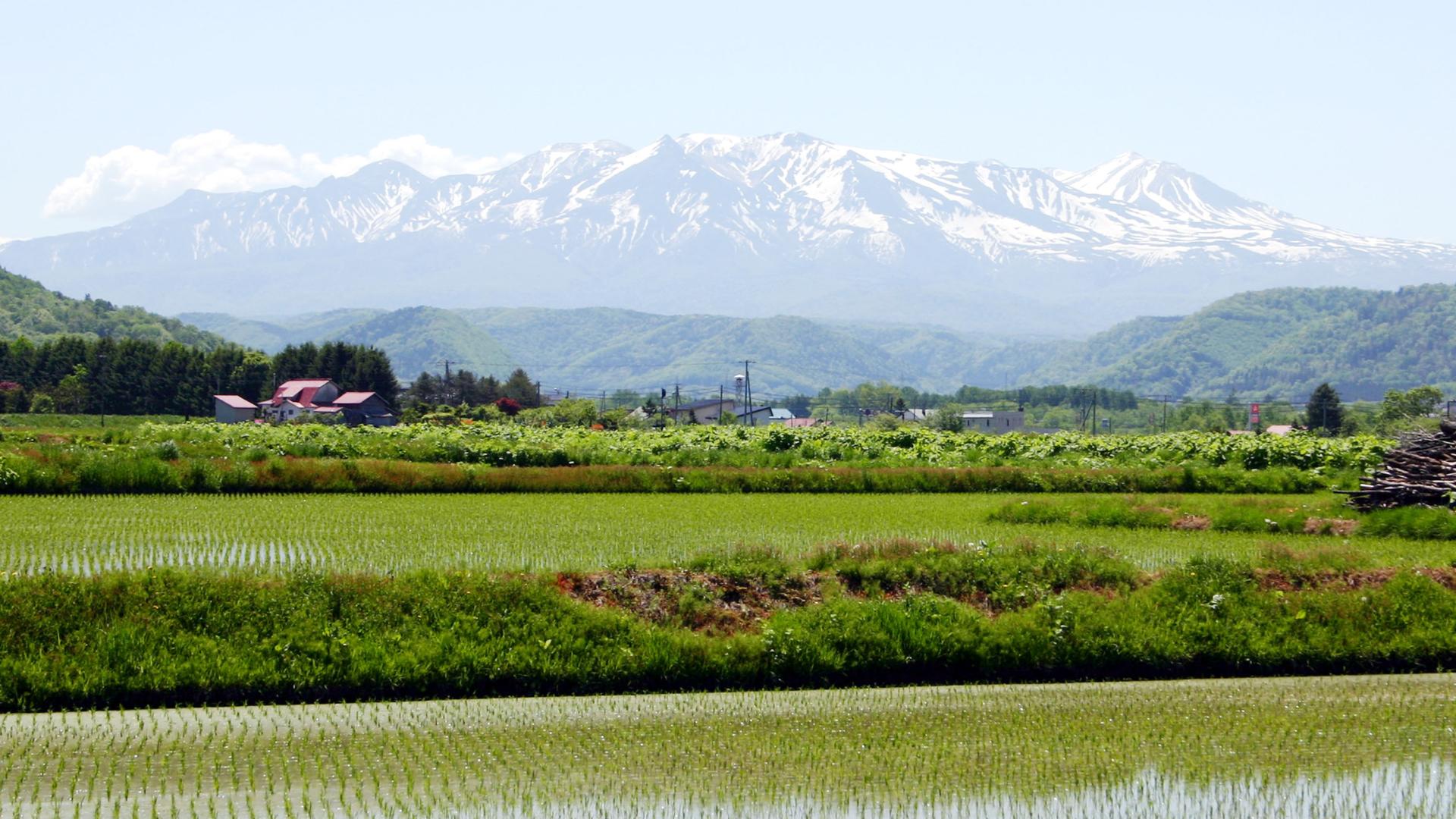 （春・夏）大雪山
