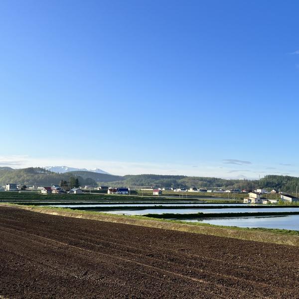 大雪山連峰遠景